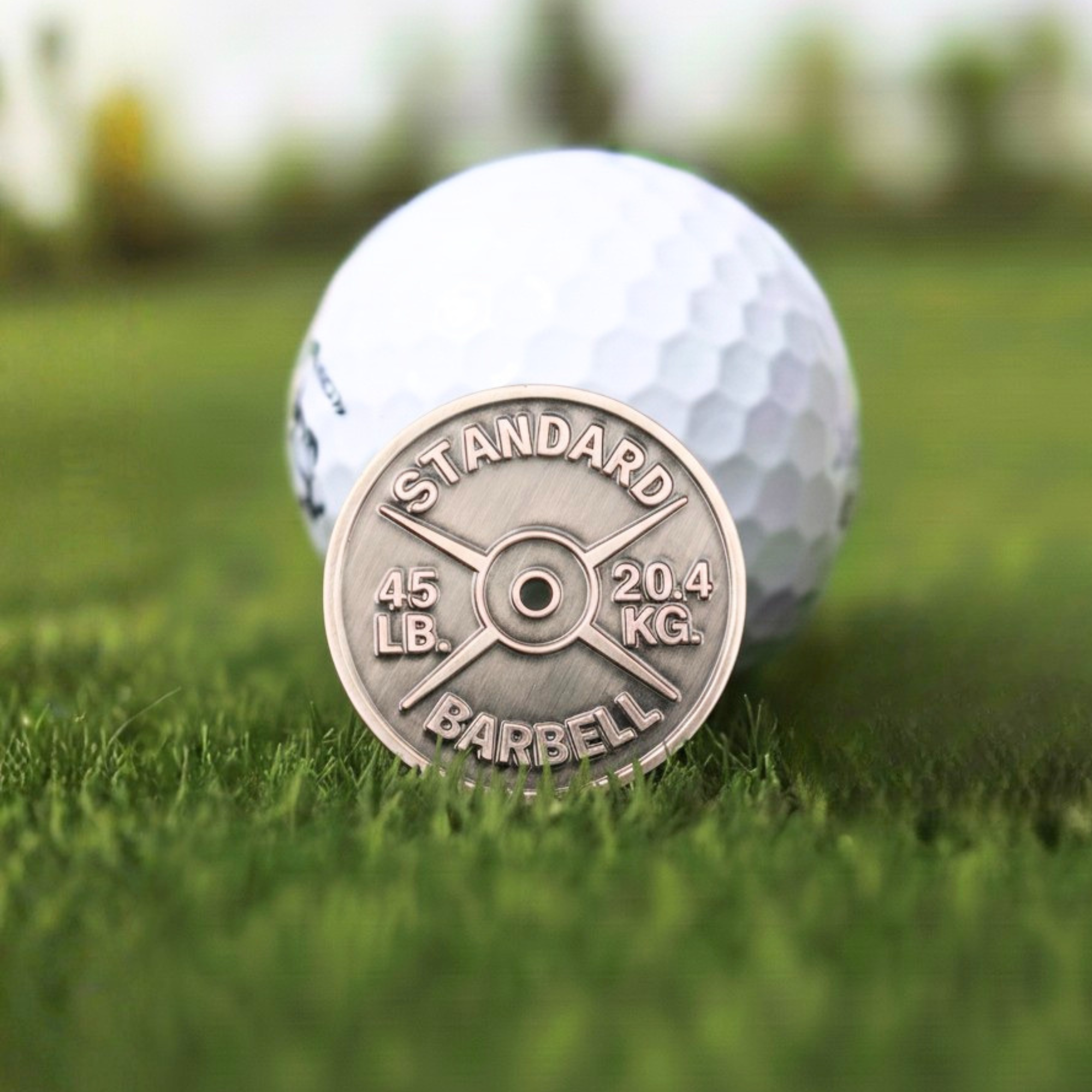 BARBELL WEIGHT BALL MARKER