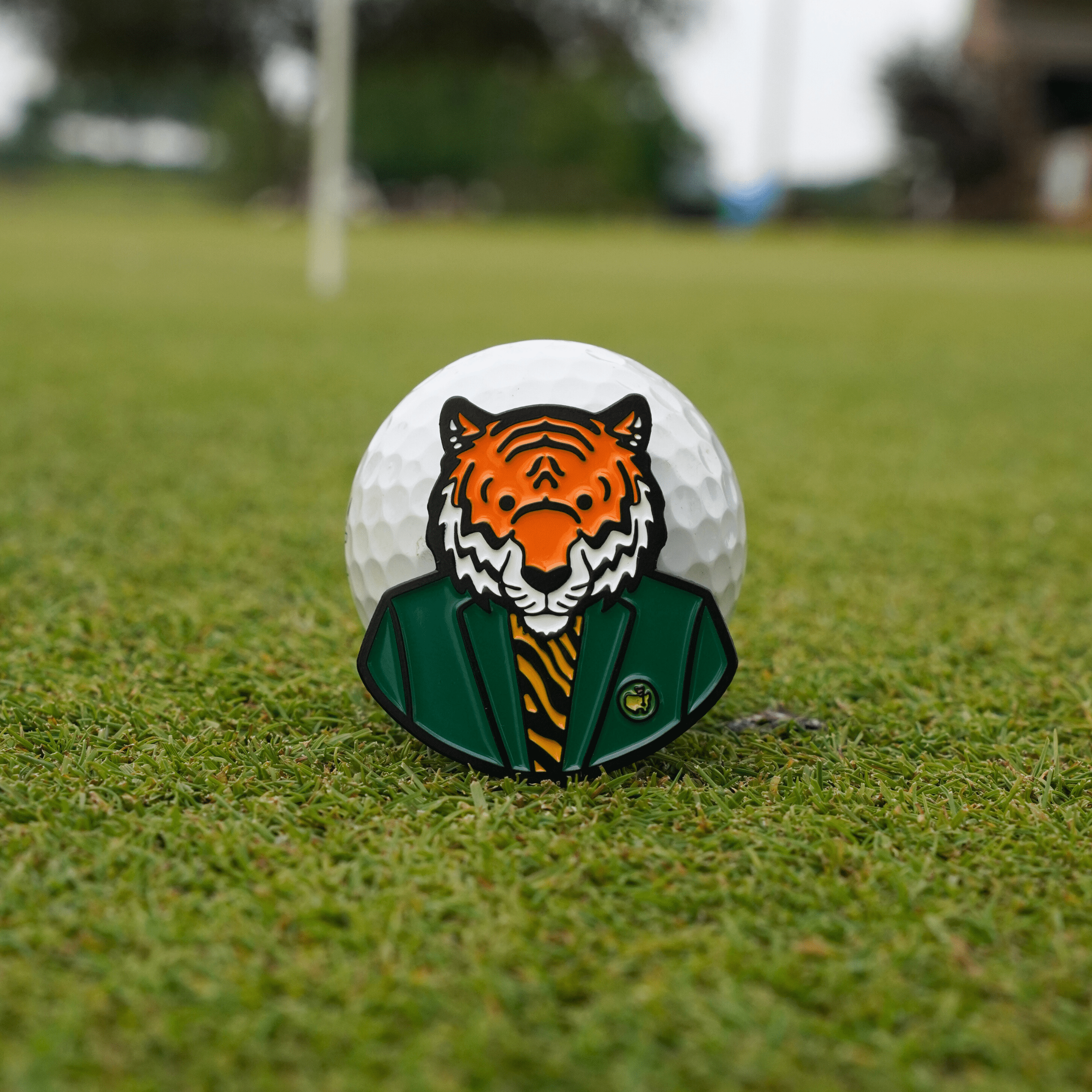 TIGER