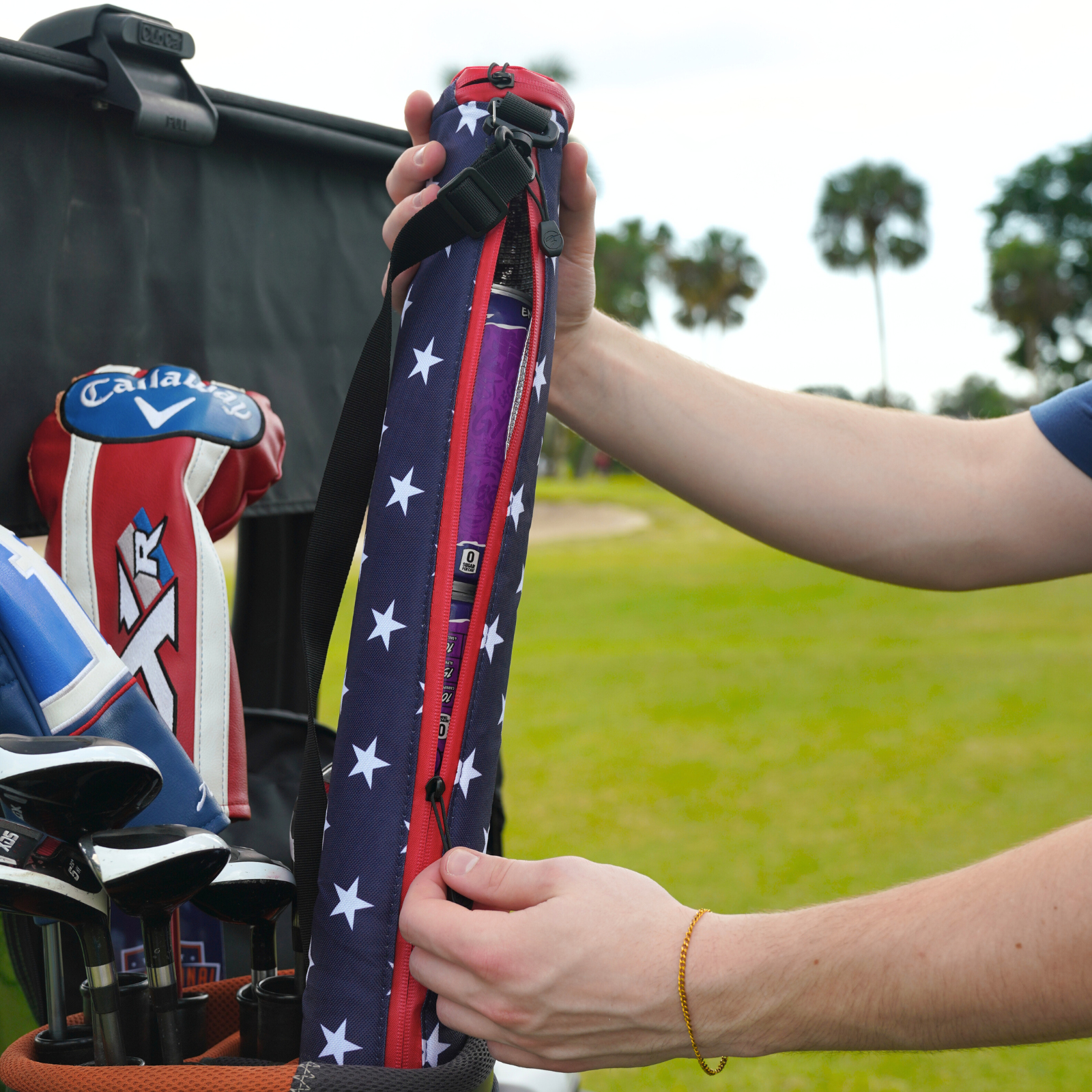 #color_usa-caddy