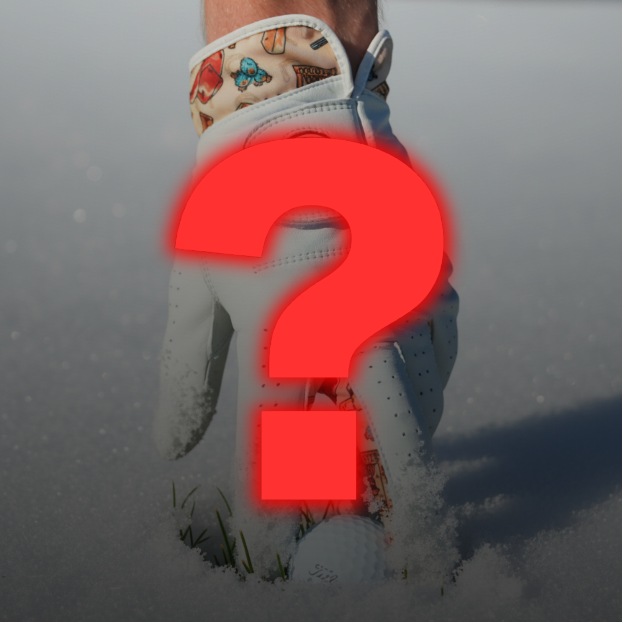 FREE MYSTERY GOLF GLOVE